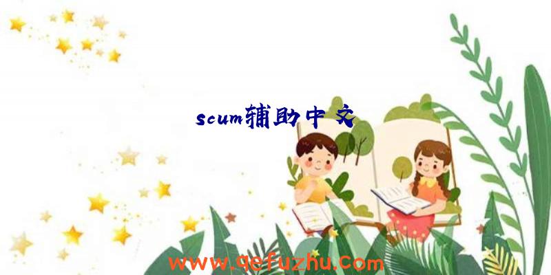 scum辅助中文