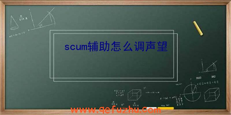 scum辅助怎么调声望