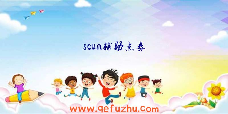 scum辅助点券