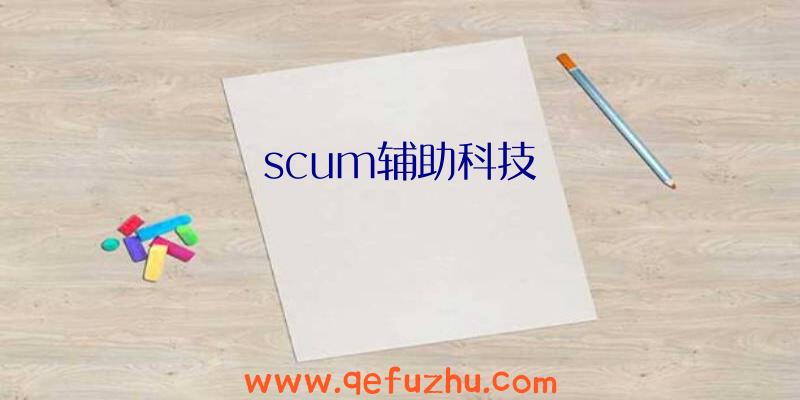 scum辅助科技