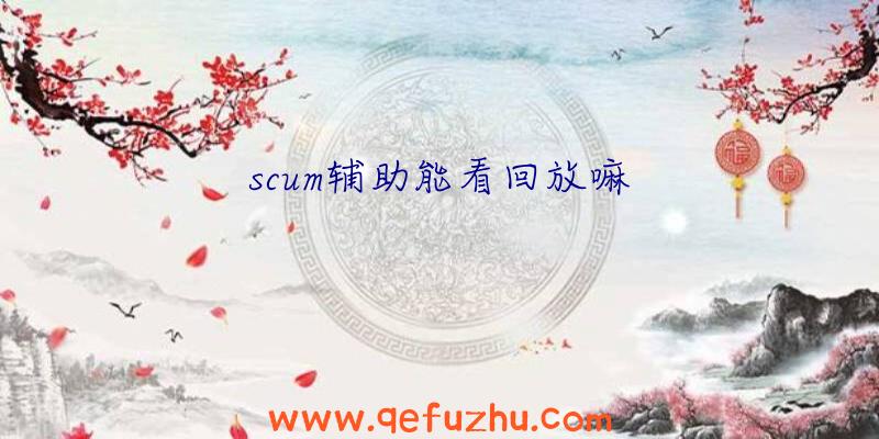 scum辅助能看回放嘛