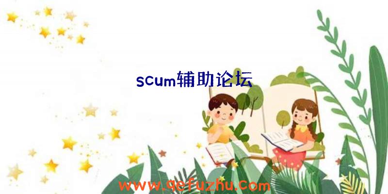 scum辅助论坛