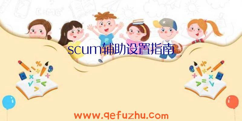 scum辅助设置指南