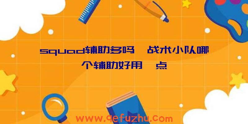 squad辅助多吗、战术小队哪个辅助好用一点