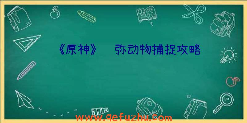 《原神》须弥动物捕捉攻略