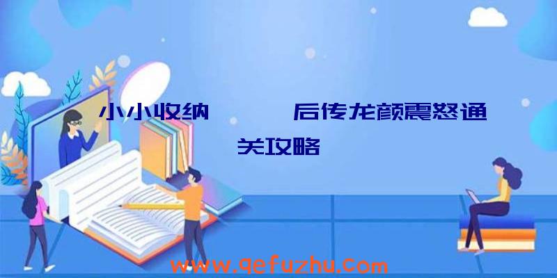 《小小收纳》甄嬛后传龙颜震怒通关攻略