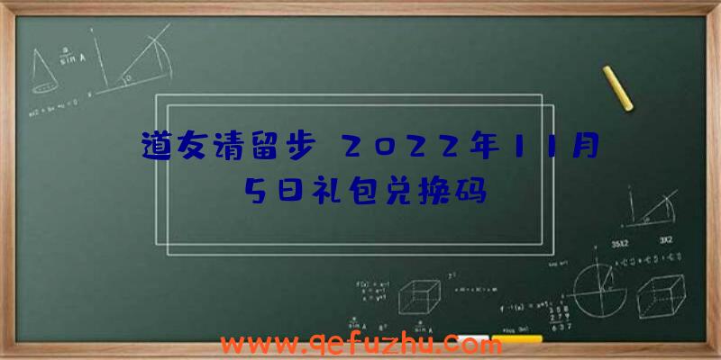 《道友请留步》2022年11月5日礼包兑换码