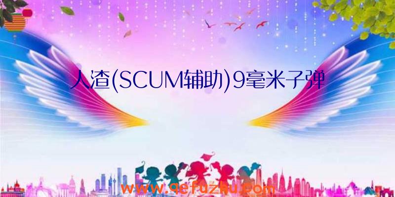 人渣(SCUM辅助)9毫米子弹