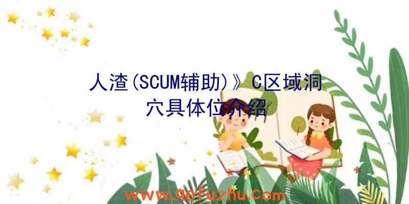 人渣(SCUM辅助)》C区域洞穴具体位介绍