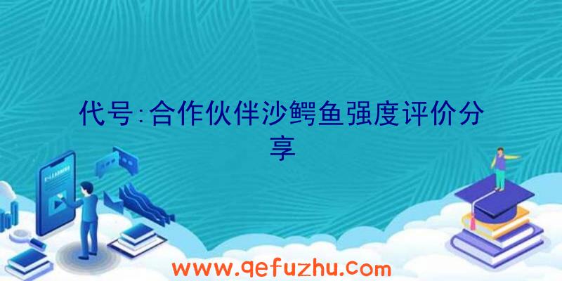 代号:合作伙伴沙鳄鱼强度评价分享