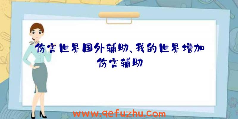 伤害世界国外辅助、我的世界增加伤害辅助