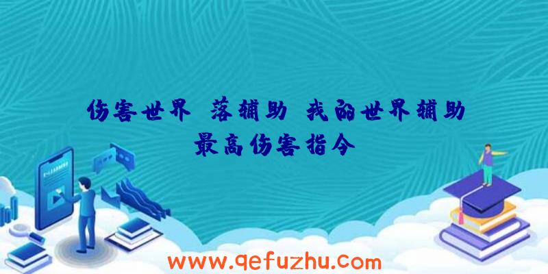 伤害世界璎落辅助、我的世界辅助最高伤害指令