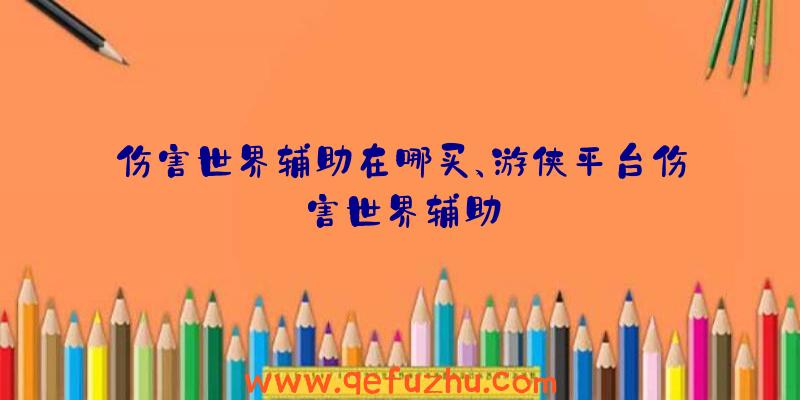 伤害世界辅助在哪买、游侠平台伤害世界辅助