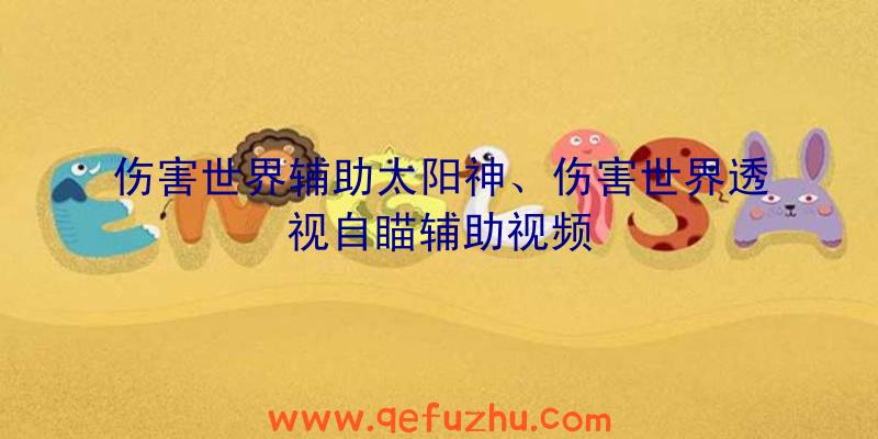 伤害世界辅助太阳神、伤害世界透视自瞄辅助视频