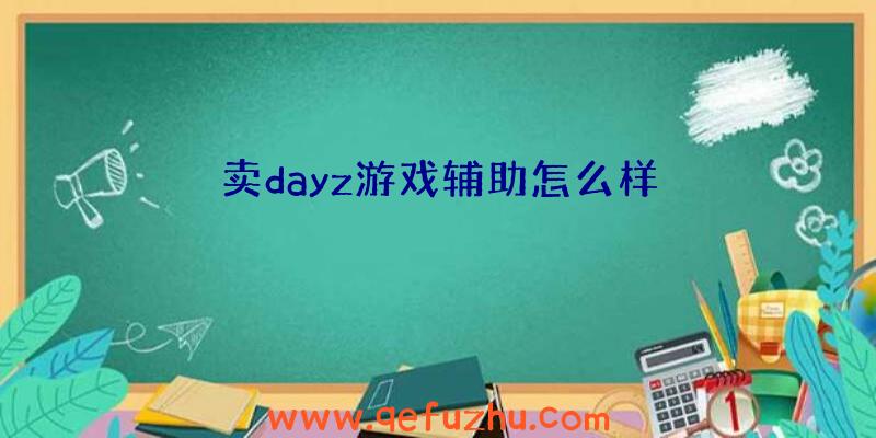 卖dayz游戏辅助怎么样