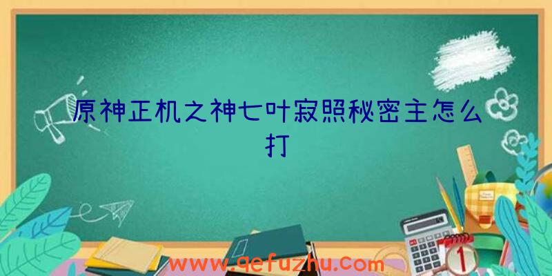 原神正机之神七叶寂照秘密主怎么打