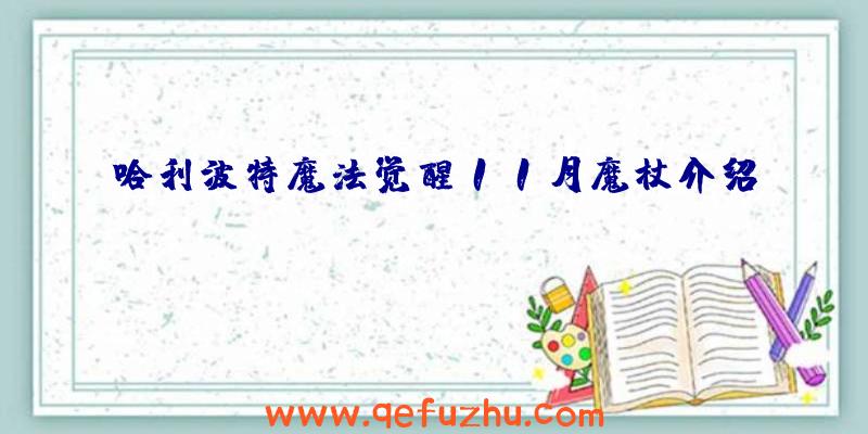 哈利波特魔法觉醒11月魔杖介绍