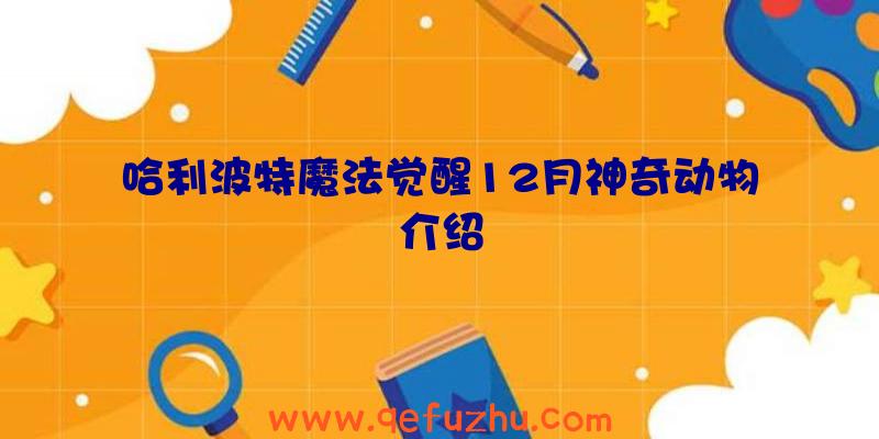 哈利波特魔法觉醒12月神奇动物介绍