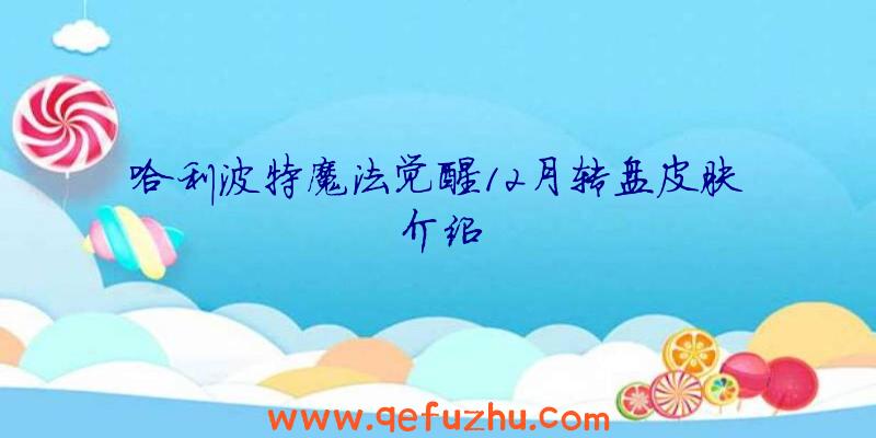 哈利波特魔法觉醒12月转盘皮肤介绍