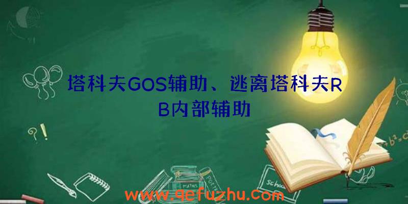 塔科夫GOS辅助、逃离塔科夫RB内部辅助