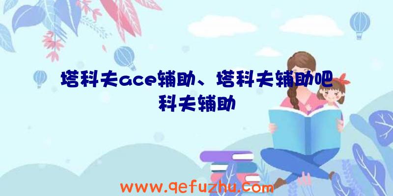 塔科夫ace辅助、塔科夫辅助吧科夫辅助