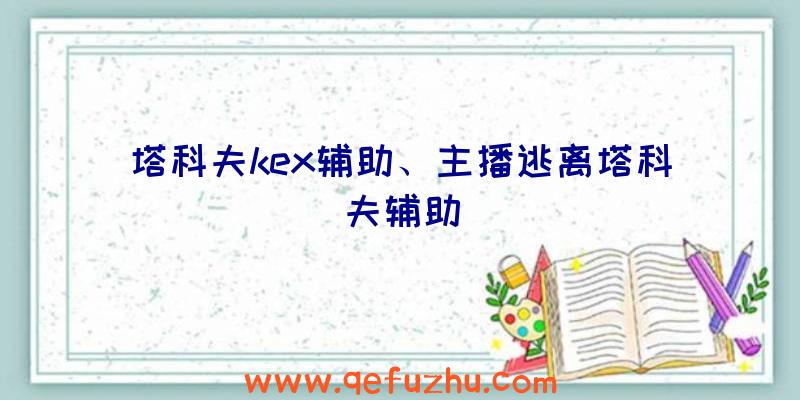 塔科夫kex辅助、主播逃离塔科夫辅助