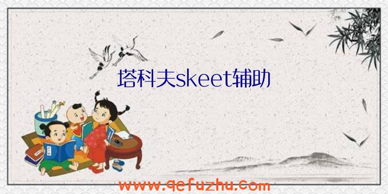 塔科夫skeet辅助