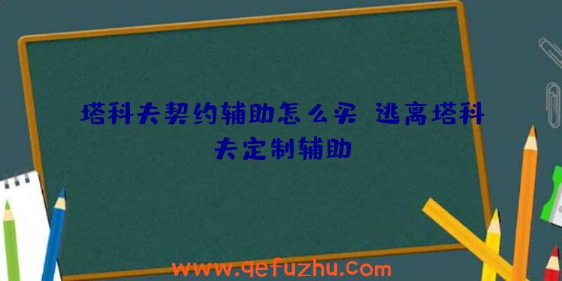 塔科夫契约辅助怎么买、逃离塔科夫定制辅助