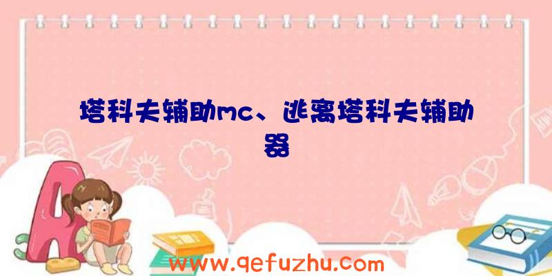 塔科夫辅助mc、逃离塔科夫辅助器