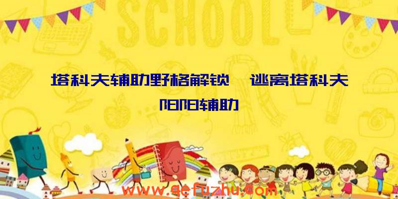 塔科夫辅助野格解锁、逃离塔科夫阳阳辅助