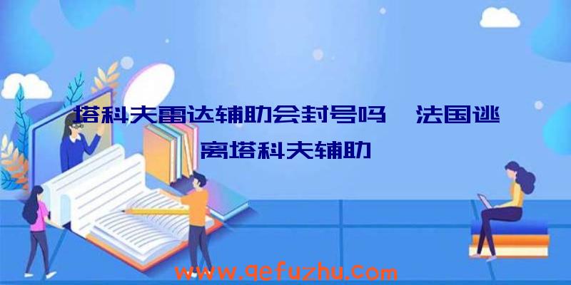 塔科夫雷达辅助会封号吗、法国逃离塔科夫辅助