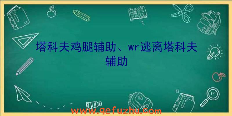 塔科夫鸡腿辅助、wr逃离塔科夫辅助