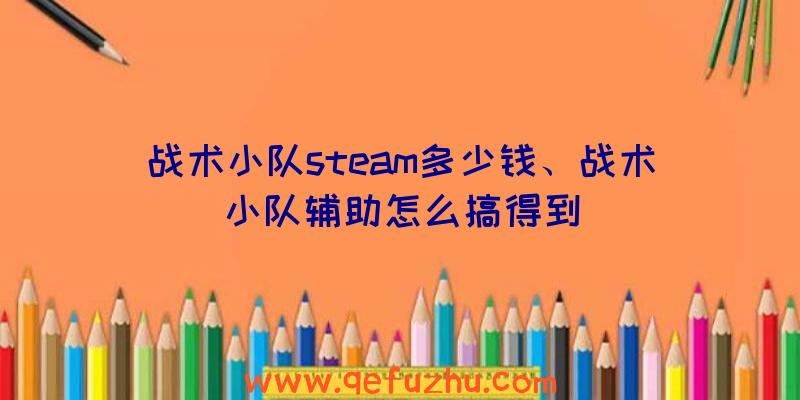 战术小队steam多少钱、战术小队辅助怎么搞得到