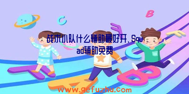 战术小队什么辅助最好开、Squad辅助免费