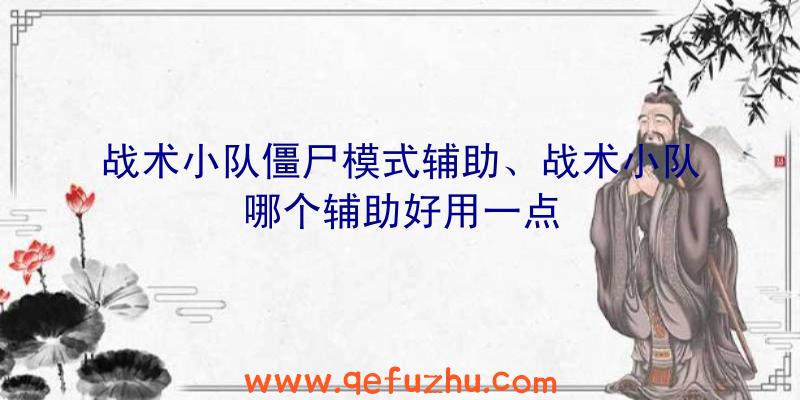 战术小队僵尸模式辅助、战术小队哪个辅助好用一点