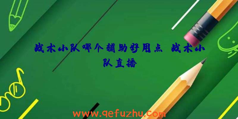 战术小队哪个辅助好用点、战术小队直播