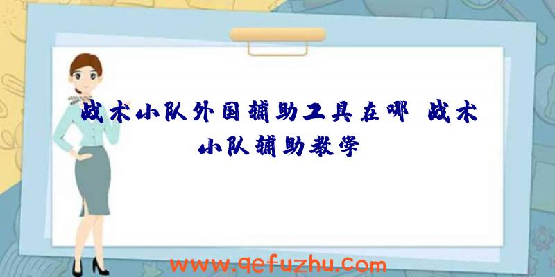 战术小队外国辅助工具在哪、战术小队辅助教学