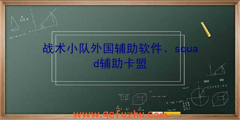 战术小队外国辅助软件、squad辅助卡盟