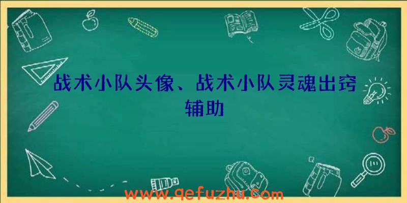 战术小队头像、战术小队灵魂出窍辅助