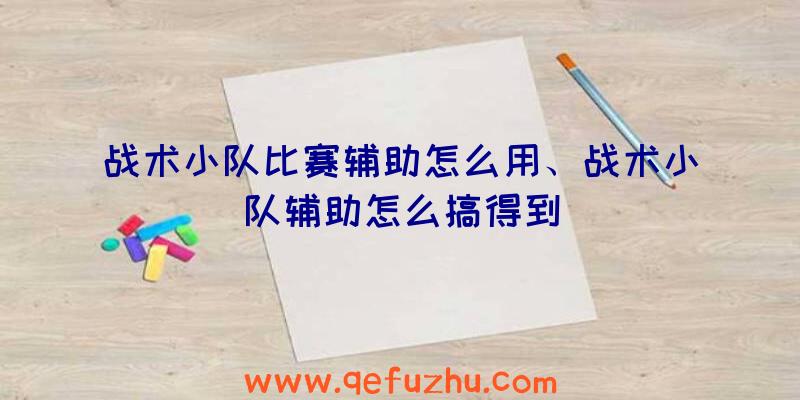 战术小队比赛辅助怎么用、战术小队辅助怎么搞得到