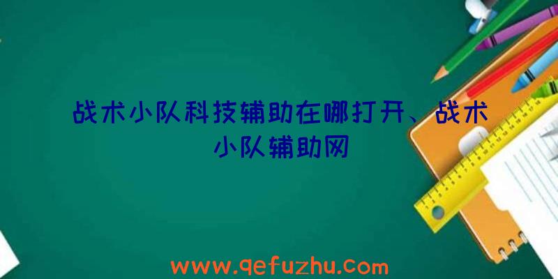 战术小队科技辅助在哪打开、战术小队辅助网