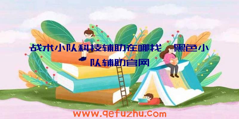 战术小队科技辅助在哪找、黑色小队辅助官网