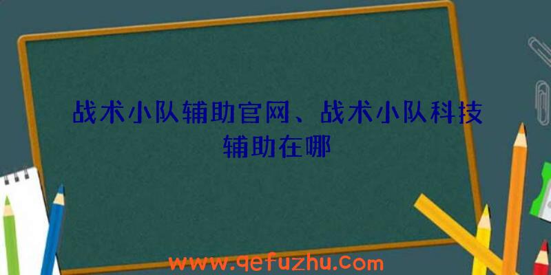 战术小队辅助官网、战术小队科技辅助在哪