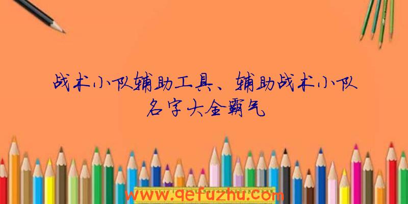 战术小队辅助工具、辅助战术小队名字大全霸气