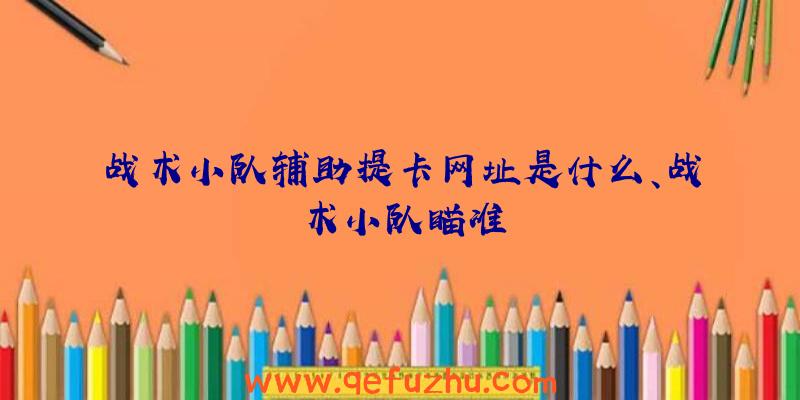 战术小队辅助提卡网址是什么、战术小队瞄准