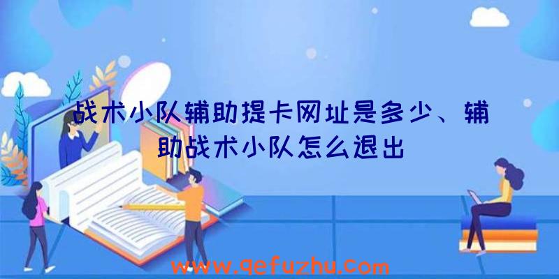 战术小队辅助提卡网址是多少、辅助战术小队怎么退出