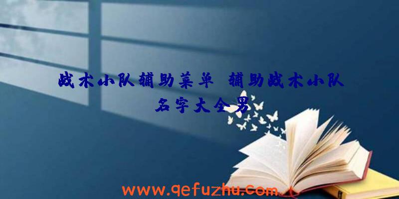 战术小队辅助菜单、辅助战术小队名字大全男