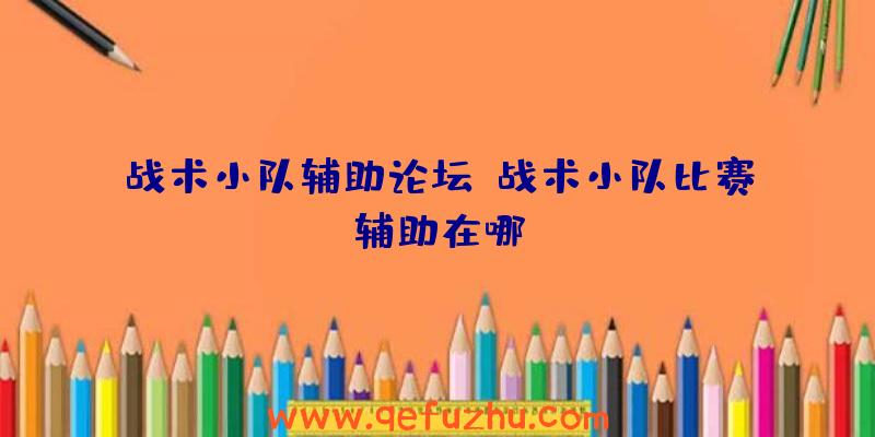 战术小队辅助论坛、战术小队比赛辅助在哪