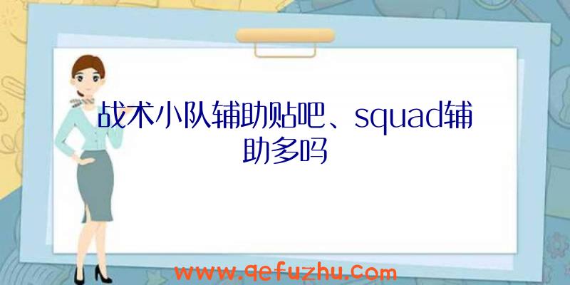 战术小队辅助贴吧、squad辅助多吗