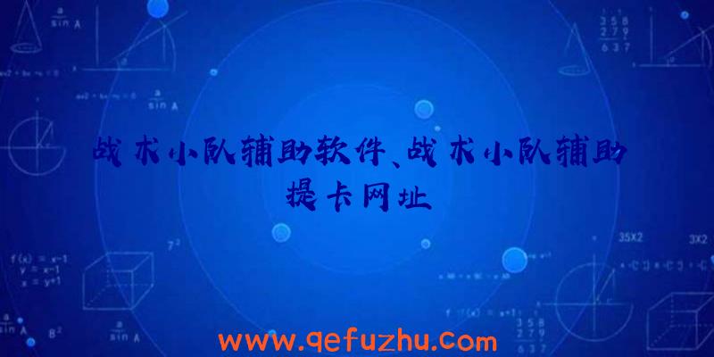 战术小队辅助软件、战术小队辅助提卡网址